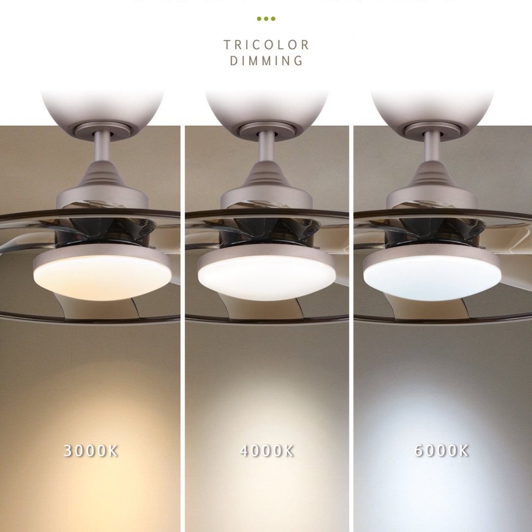 22" LED Smart Ceiling Fan – Coffee Finish + Remote Control