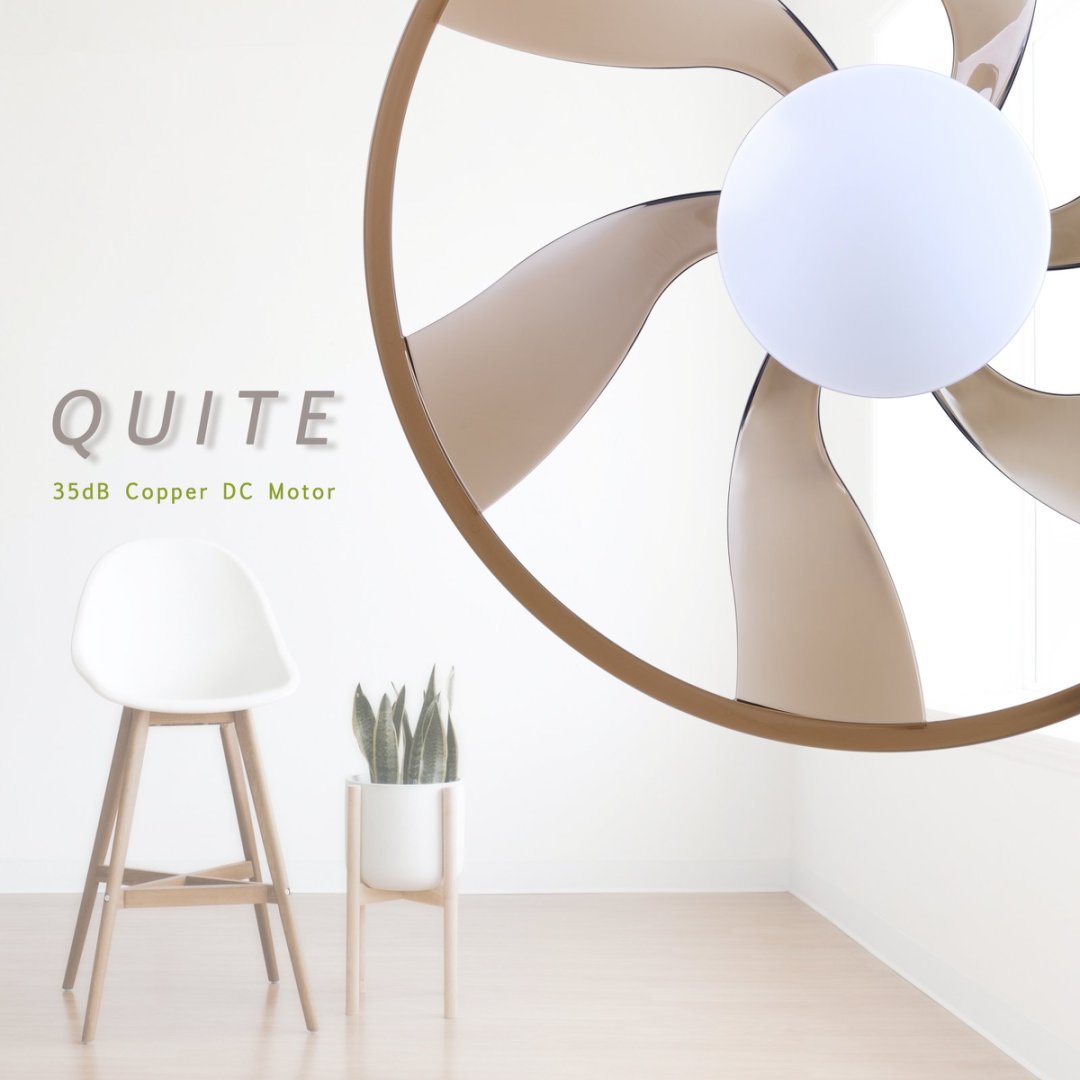 22" LED Smart Ceiling Fan – Coffee Finish + Remote Control